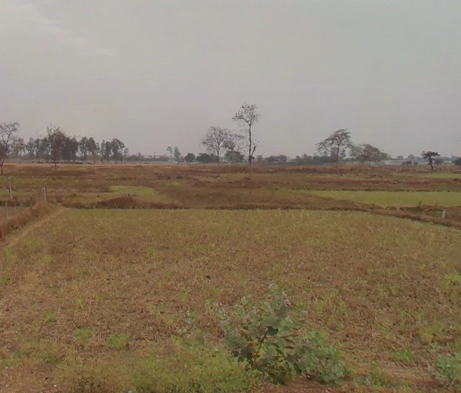 Raiyarao, Madhya Pradesh, India