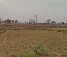 Raiyarao, Madhya Pradesh, India preview 3