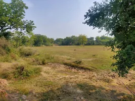 8WP8+5J Wailwari, Rajasthan, India preview 4