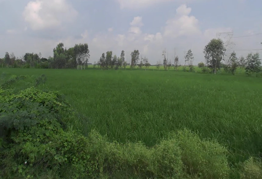 Pala, Uttar Pradesh, India