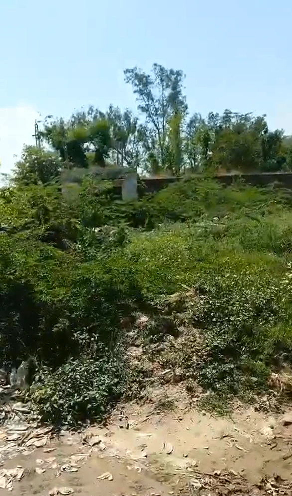 J6VH+72C, Deeg, Kaman-Pahari Rd, Luhesar, Angrawali, Rajasthan 321022, India - Photo 3