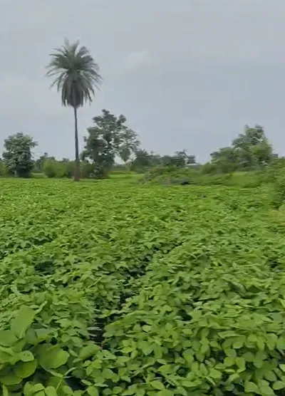 Maihar, Madhya Pradesh 485771, India preview 2