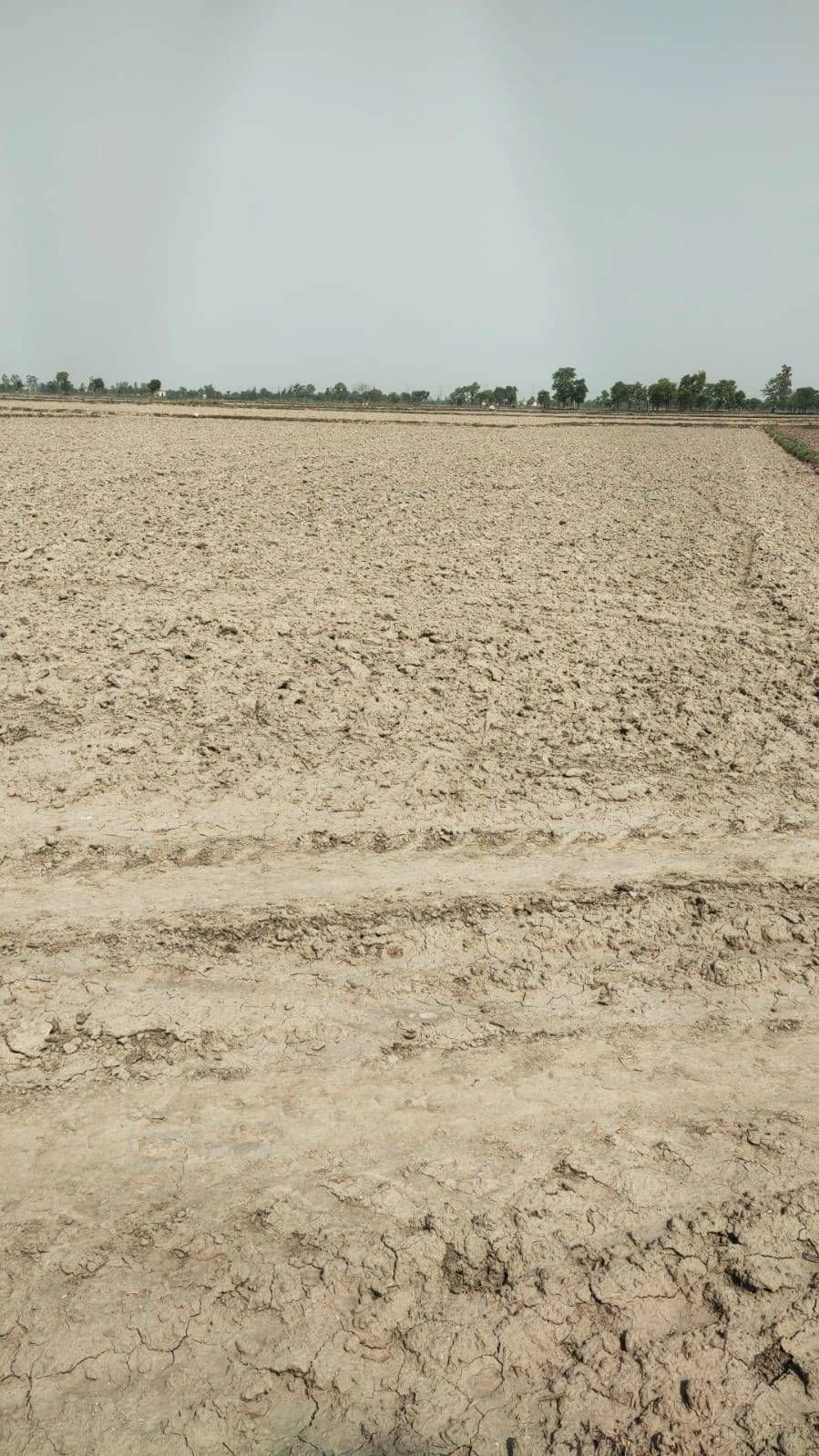 Ajijpur, Uttar Pradesh, India