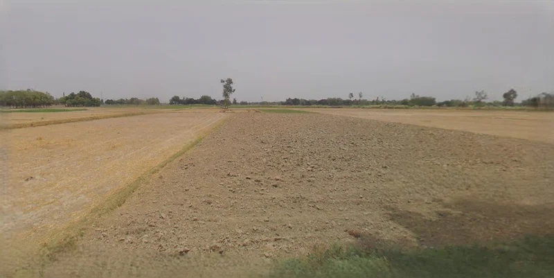 Sri Ganganagar, Rajasthan, India preview 3