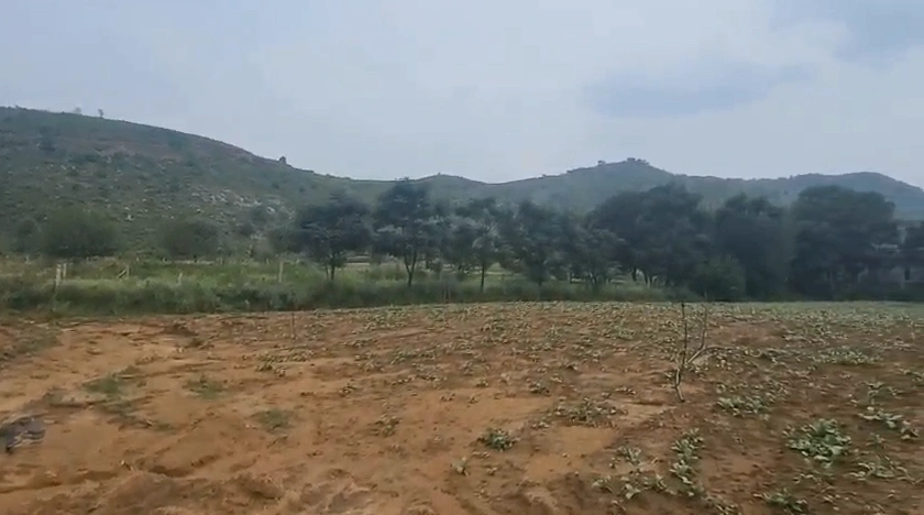 636Q+2X2, Jaipur, Dharawas, Rajasthan 303120, India