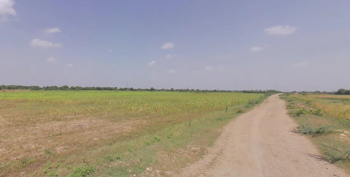 Liyad, Gujarat 363410, India