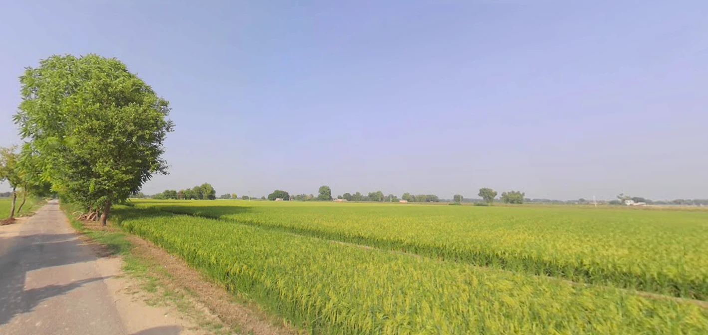 Nuran Khera, Haryana 131302, India