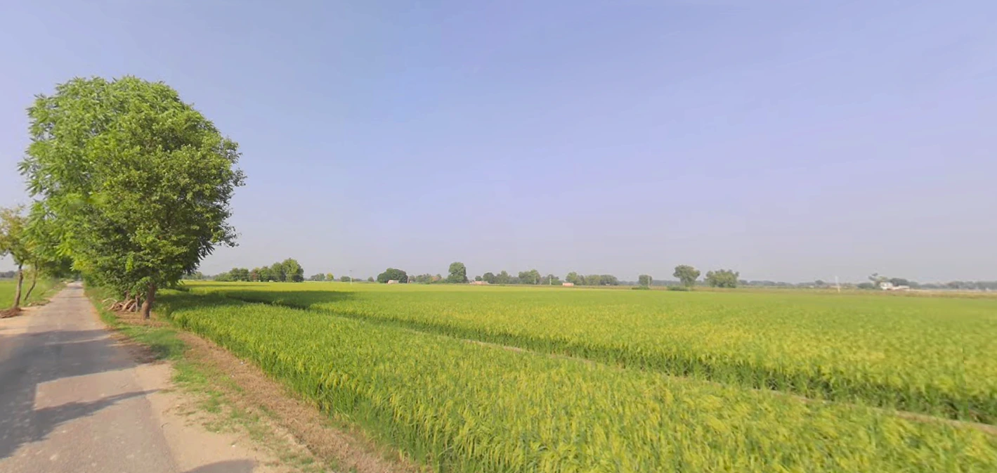 Nuran Khera, Haryana 131302, India
