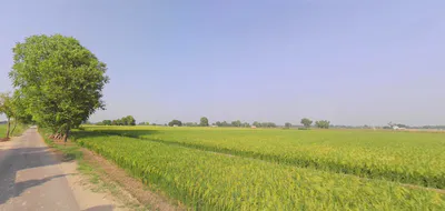 Nuran Khera, Haryana 131302, India preview 2