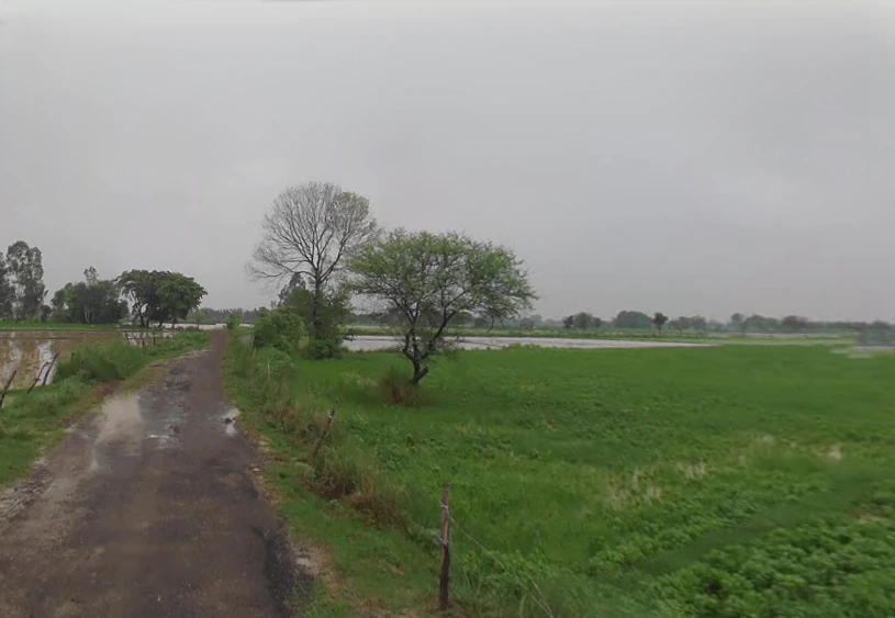 Dataganj, Uttar Pradesh 243635, India