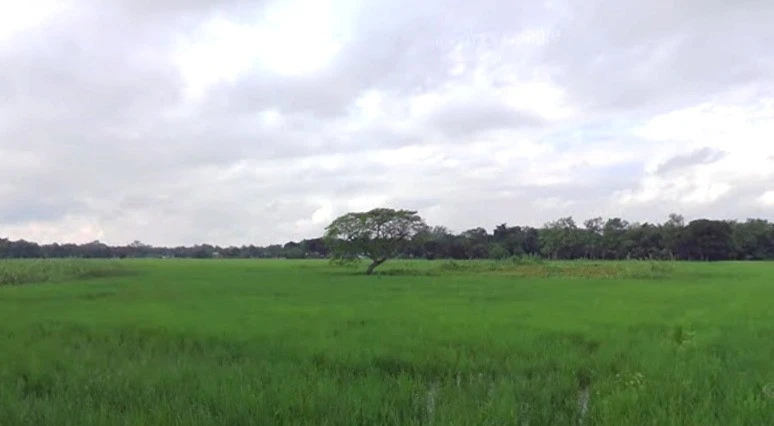 Shajapur, Madhya Pradesh 465001, India