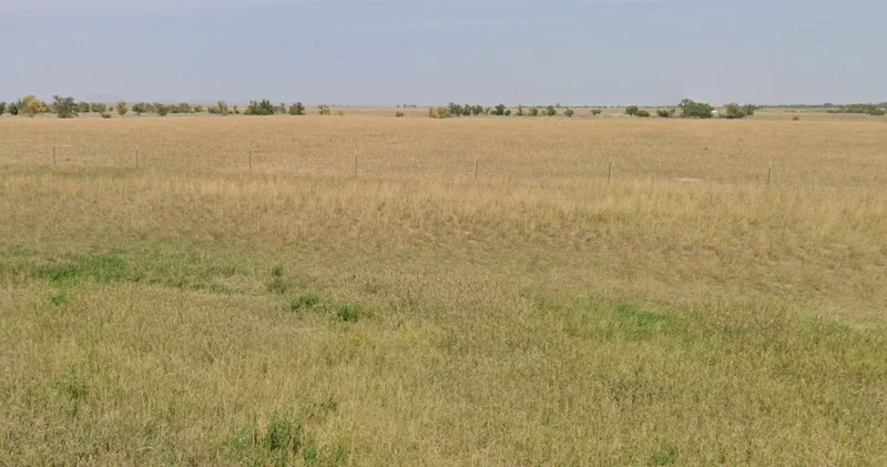 Sai mandir, Bistan, Madhya Pradesh 451441, India preview 2