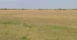 Sai mandir, Bistan, Madhya Pradesh 451441, India preview 2