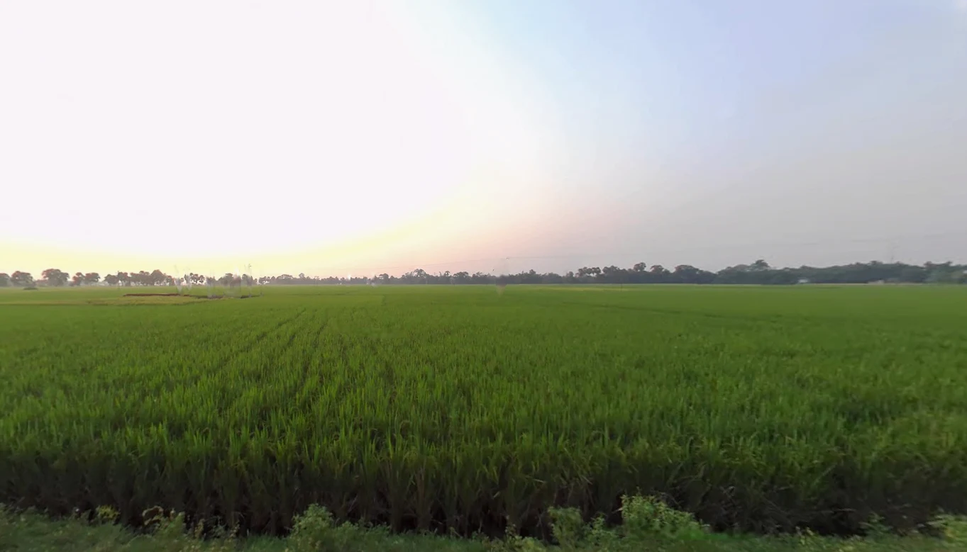 Action Area III, Chotto Chandpur, Newtown, New Town, West Bengal, India