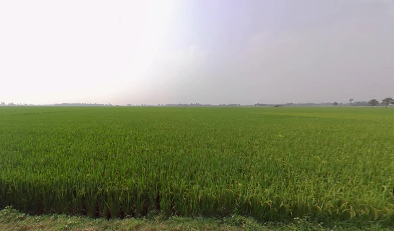 Shikarpur, West Bengal 713422, India