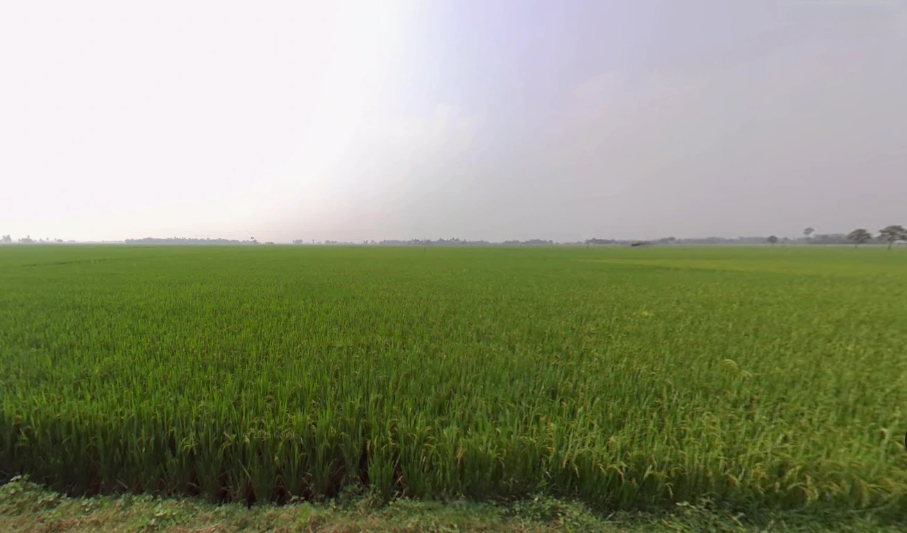 Shikarpur, West Bengal 713422, India