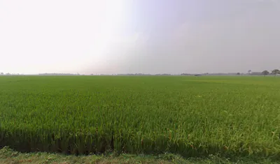 Shikarpur, West Bengal 713422, India preview 2