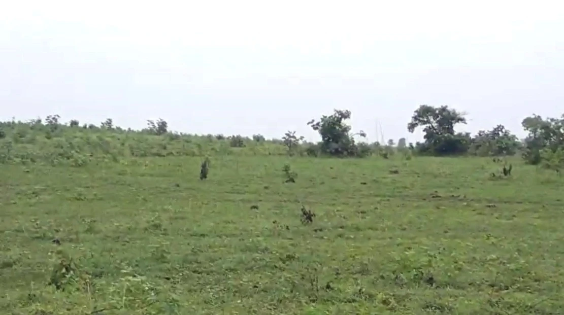 Sakari, Madhya Pradesh, India