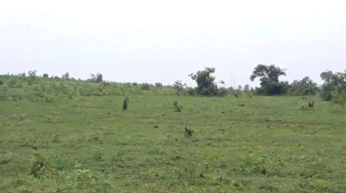 Sakari, Madhya Pradesh, India