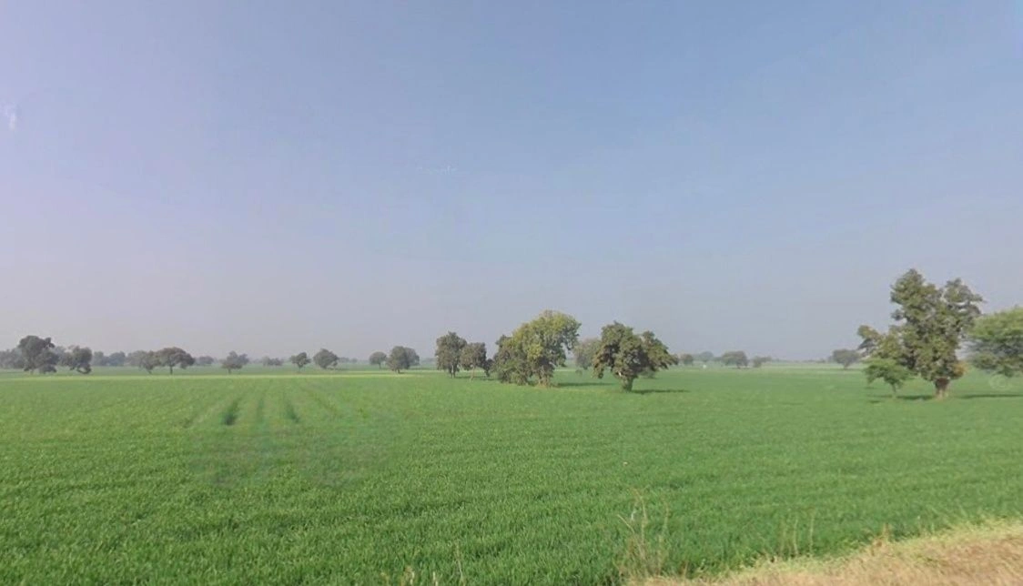 Sinduriya, Madhya Pradesh, India