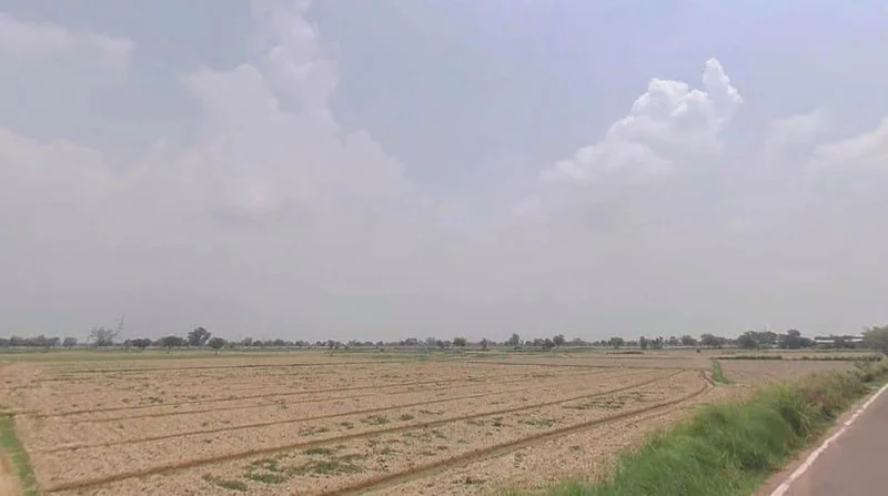 Gopalgarh, Bharatpur, Rajasthan 321001, India preview 2