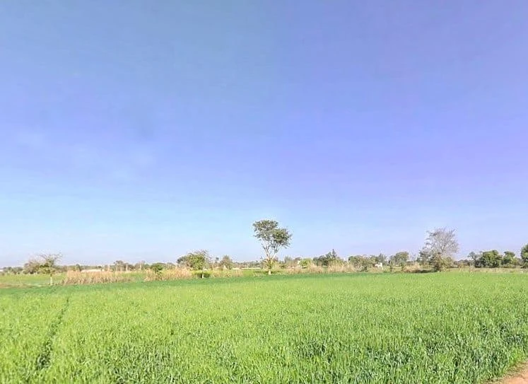 9X9C+2CJ, Barodakan, Rajasthan 321607, India