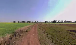 Palwal, Haryana 121102, India preview 2
