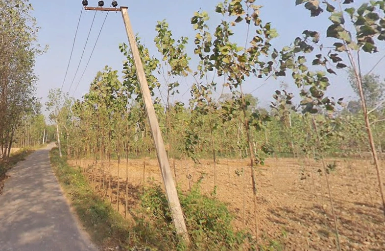 Kamalpur Aht., Uttar Pradesh 247662, India