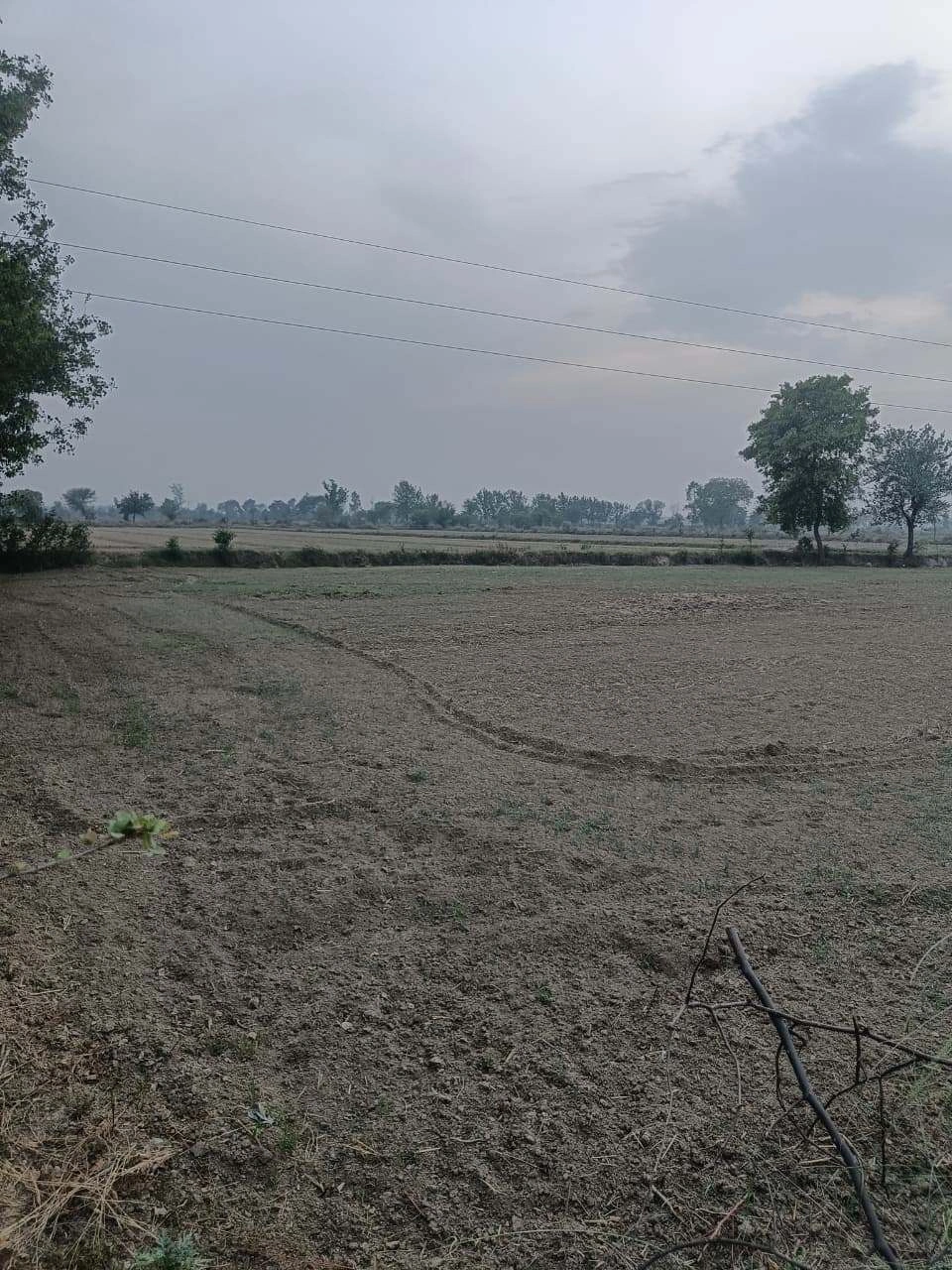 Bawani Khera, Haryana 127032, India