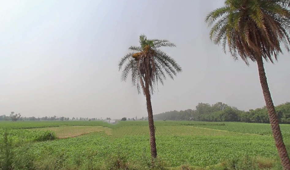 Jhunjhuni, Uttar Pradesh 250401, India