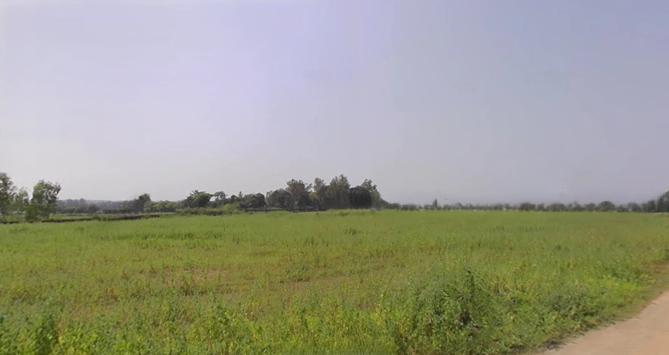 Kotma, Madhya Pradesh 484334, India