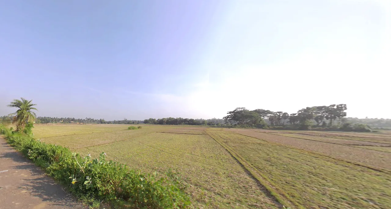 Khandapada, Odisha 752077, India preview 3