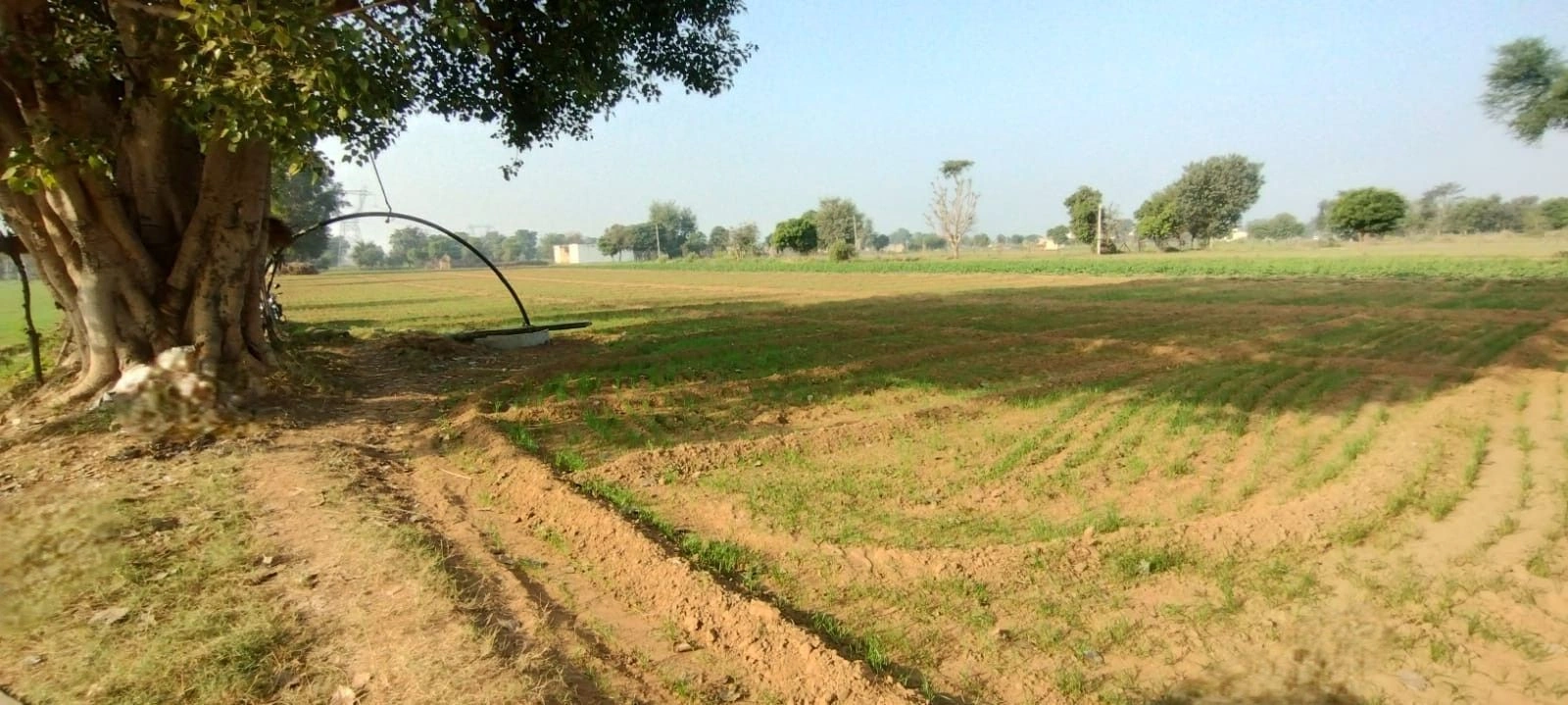 Untwal, Rajasthan 301028, India