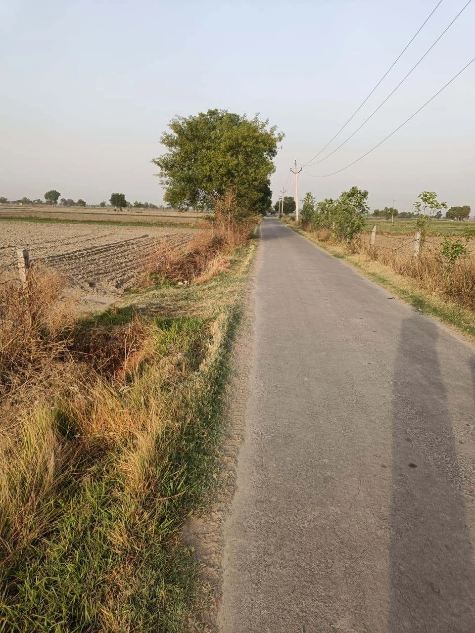 Tentigaon, Uttar Pradesh, India