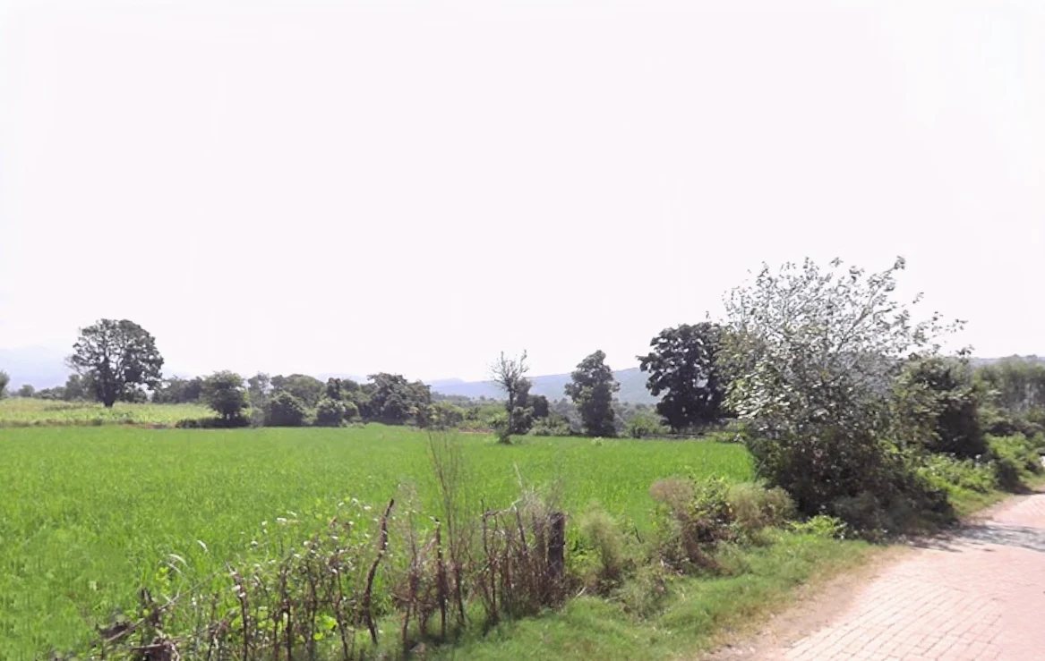 Chikan, Haryana 134102, India