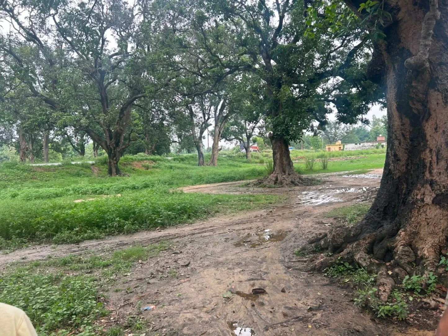 Mankapur-Sadullah Nagar Road, Gonda, Chaubepur, Uttar Pradesh, India