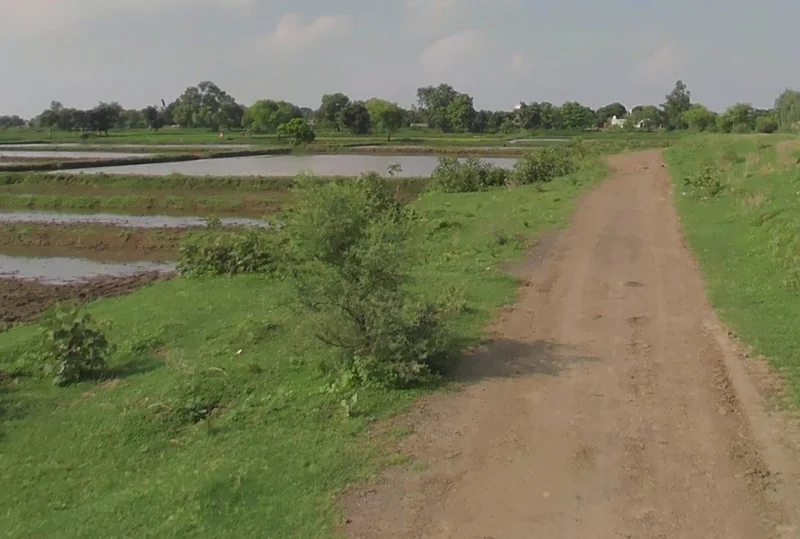 Raiyarao, Madhya Pradesh, India preview 2