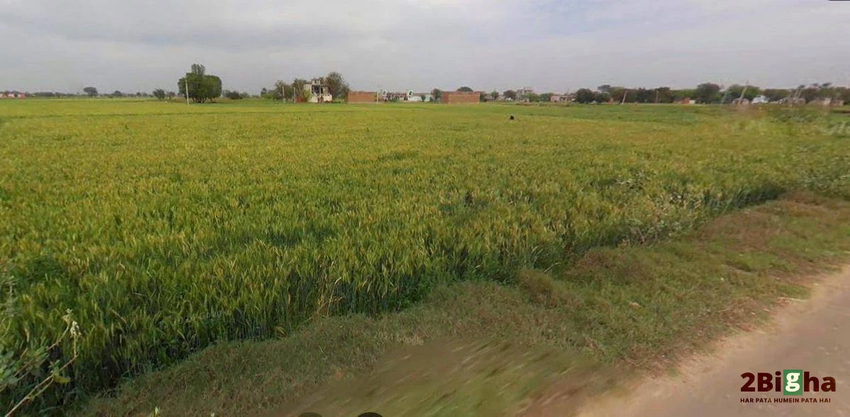 6RMJ+C7V, NH 86, Basaora, Uttar Pradesh 210427, India