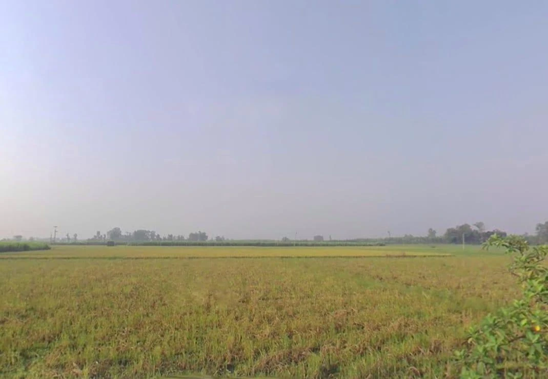 VV4Q+FW, Bhagchuri, Uttarakhand 262308, India