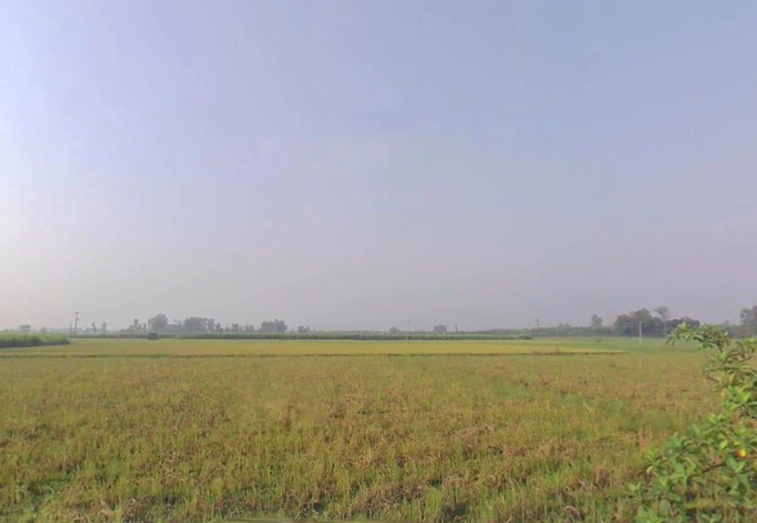 VV4Q+FW, Bhagchuri, Uttarakhand 262308, India