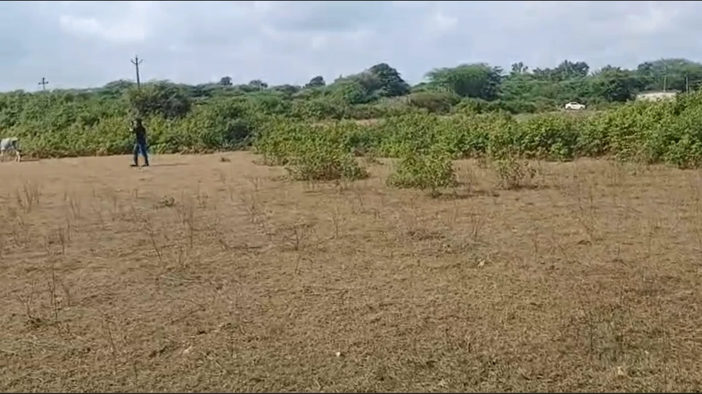 MVXV+7F Nandwel, Rajasthan, India