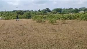 MVXV+7F Nandwel, Rajasthan, India preview 2