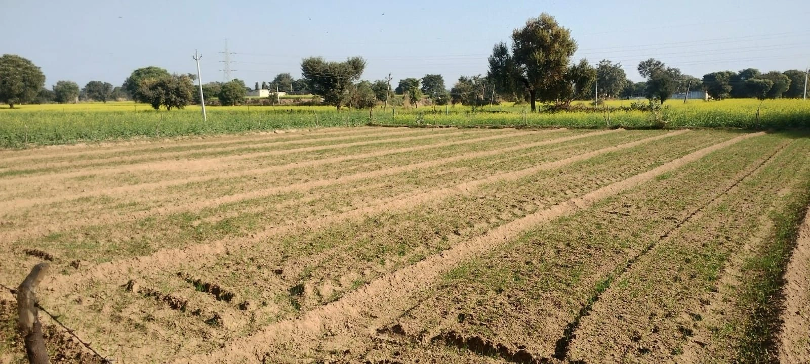 Bargaon, Rajasthan, India preview 2