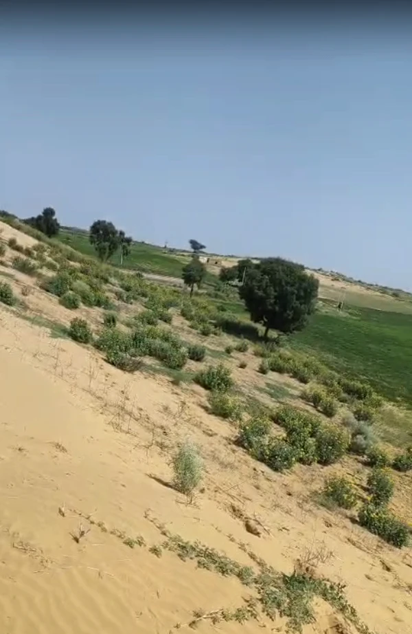 GR64+QW6, Poogal, Rajasthan 334808, India