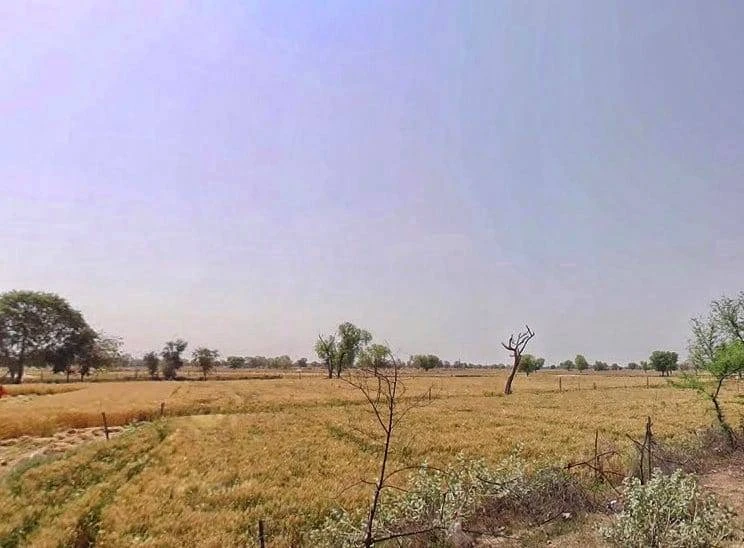 Mala Khera, Rajasthan 301406, India