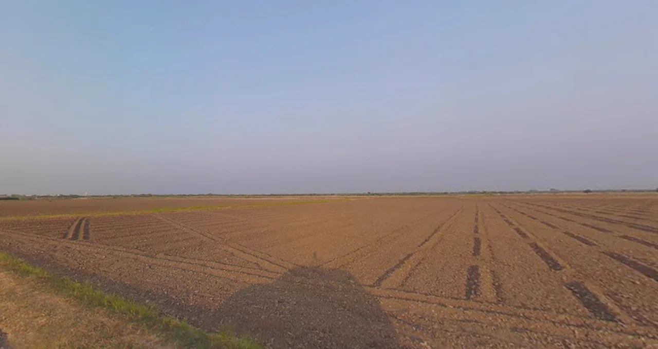 Radhu, Gujarat 387560, India preview 2