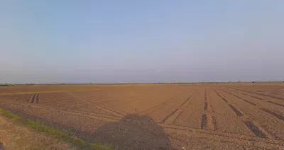 Radhu, Gujarat 387560, India preview 2