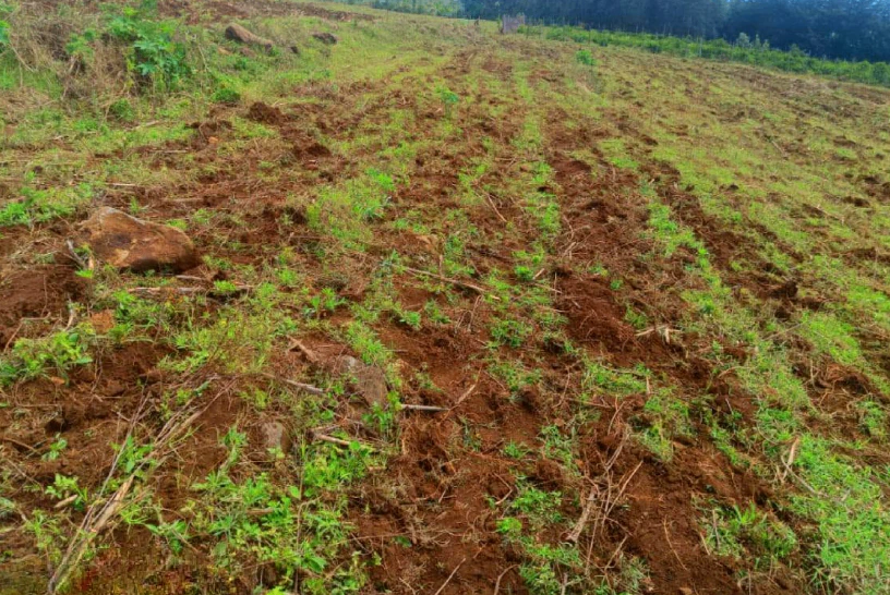 6V5P+Q4 Jategaon, Nashik District, Maharashtra, India - Photo 2