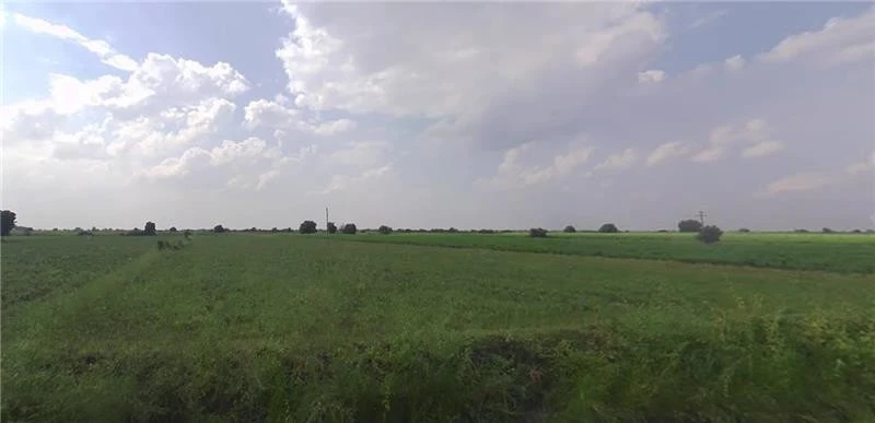 Dholera, Gujarat 382455, India