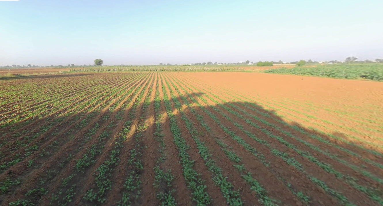 Sachana, Gujarat, India